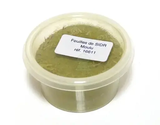 Feuilles de jujubier en poudre 20 g